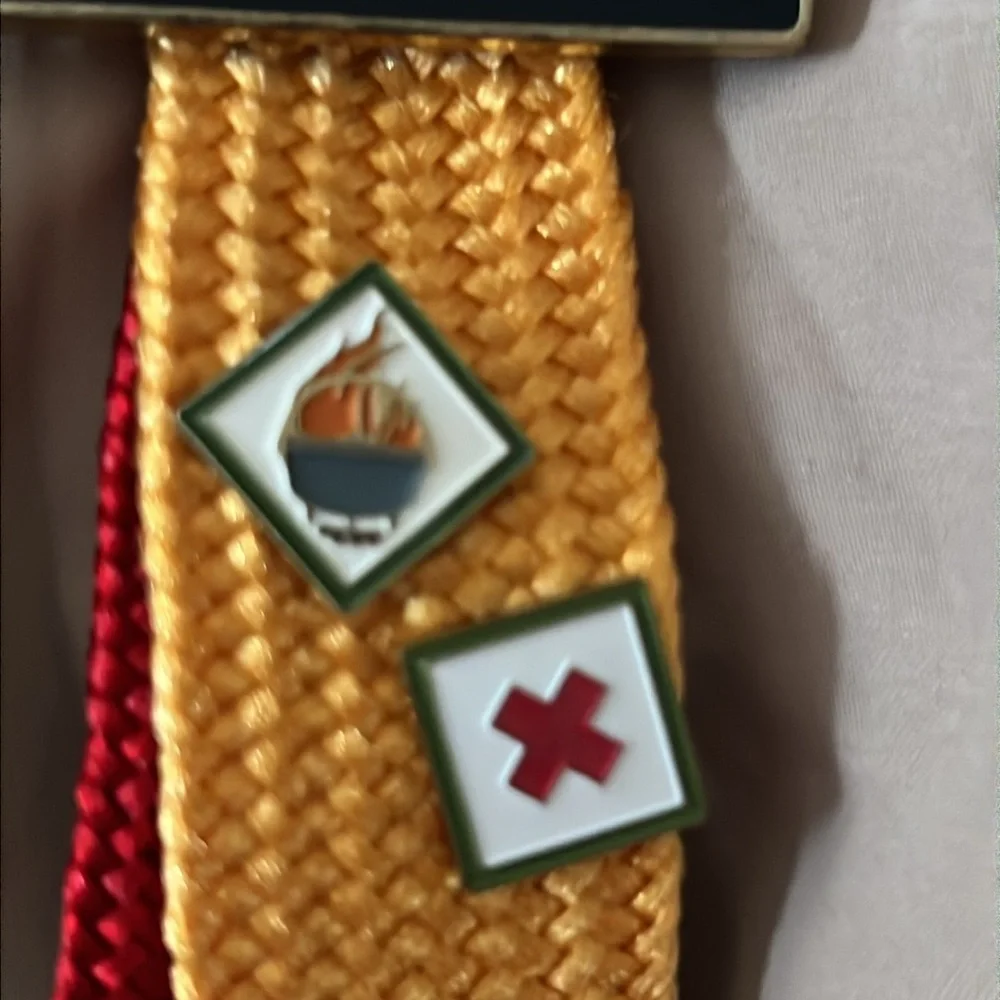 Scouting America boy scout